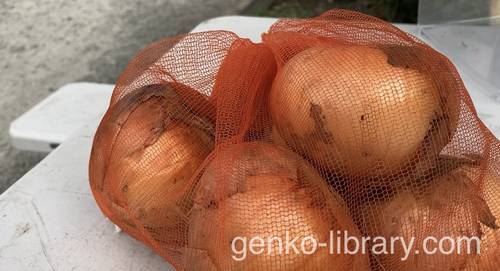 f:id:genko-library:20210614142944j:plain