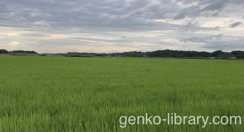 f:id:genko-library:20210623054835j:plain