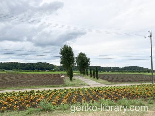 f:id:genko-library:20210623054911j:plain