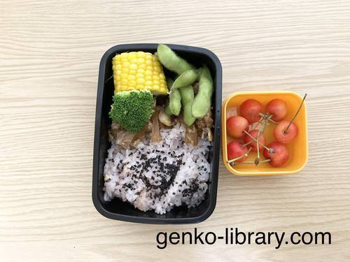 f:id:genko-library:20210701170145j:plain
