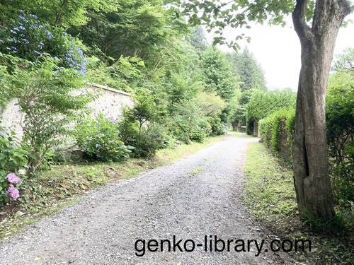 f:id:genko-library:20210719051228j:plain