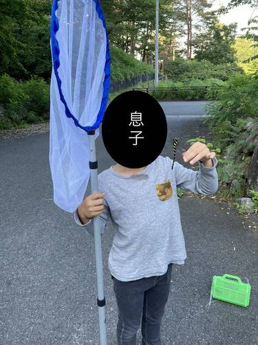 f:id:genko-library:20210719051253j:plain
