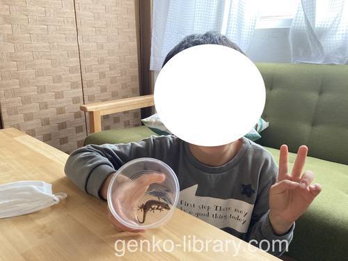 f:id:genko-library:20220403055051j:plain