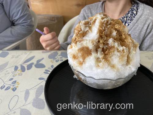 f:id:genko-library:20220403055115j:plain