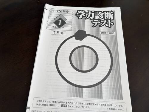新品 DII 知的能力診断テスト 活用マニュアル ダイヤモンド社 早稲田大学教授 早稲アカ中1娘】学力診断テスト7月の振り返り。 - 本のある暮らし