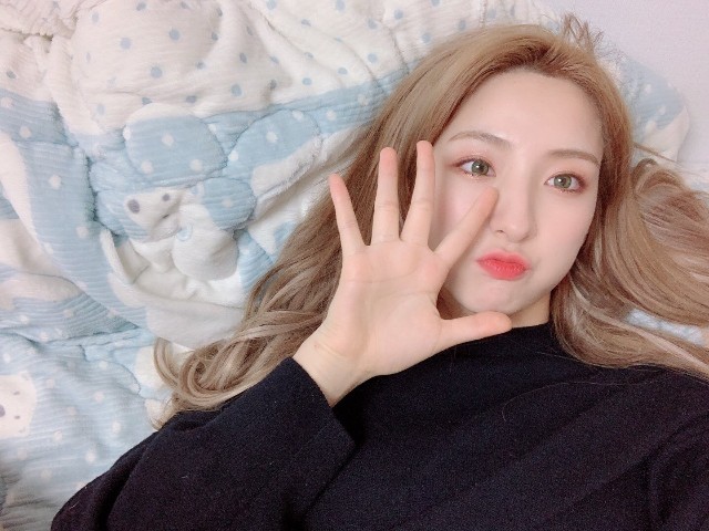 f:id:genlowin:20190127010626j:plain