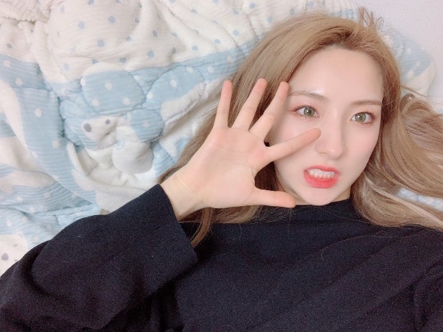f:id:genlowin:20190127010641j:plain