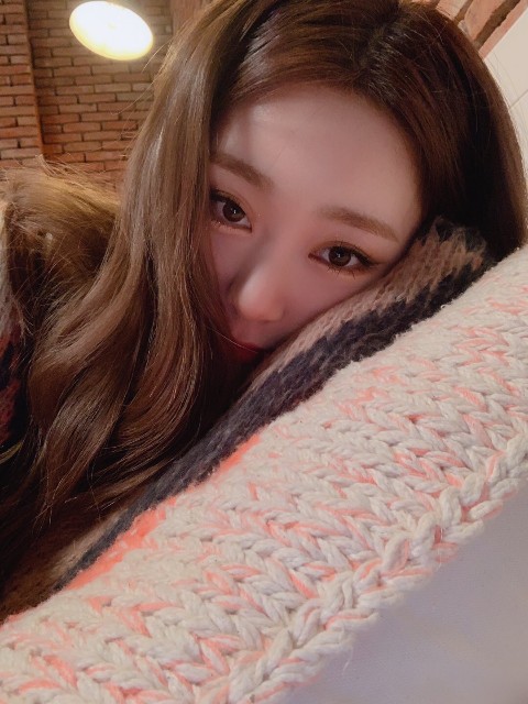 f:id:genlowin:20190127012748j:plain