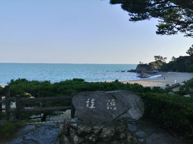 f:id:genogenocrispr:20190928165255j:image f:id:genogenocrispr:20190928165255j:image