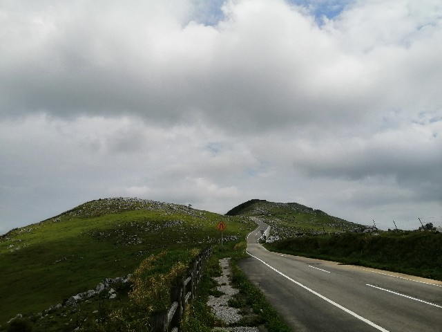 f:id:genogenocrispr:20190928165822j:image f:id:genogenocrispr:20190928165822j:image