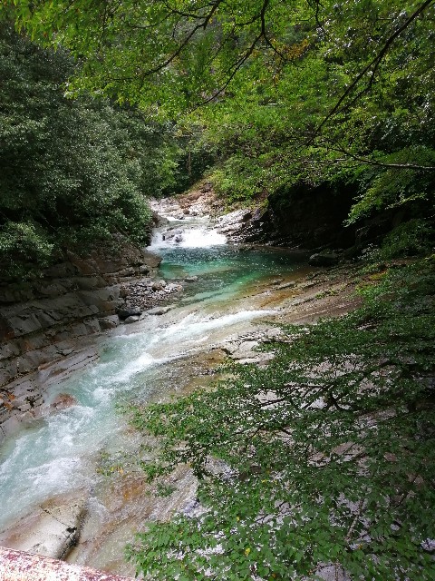 f:id:genogenocrispr:20190928200027j:image f:id:genogenocrispr:20190928200027j:image