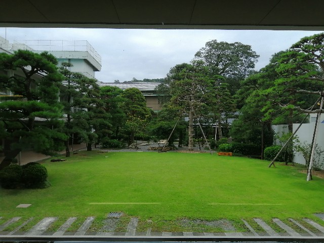 f:id:genogenocrispr:20190928203646j:image f:id:genogenocrispr:20190928203646j:image