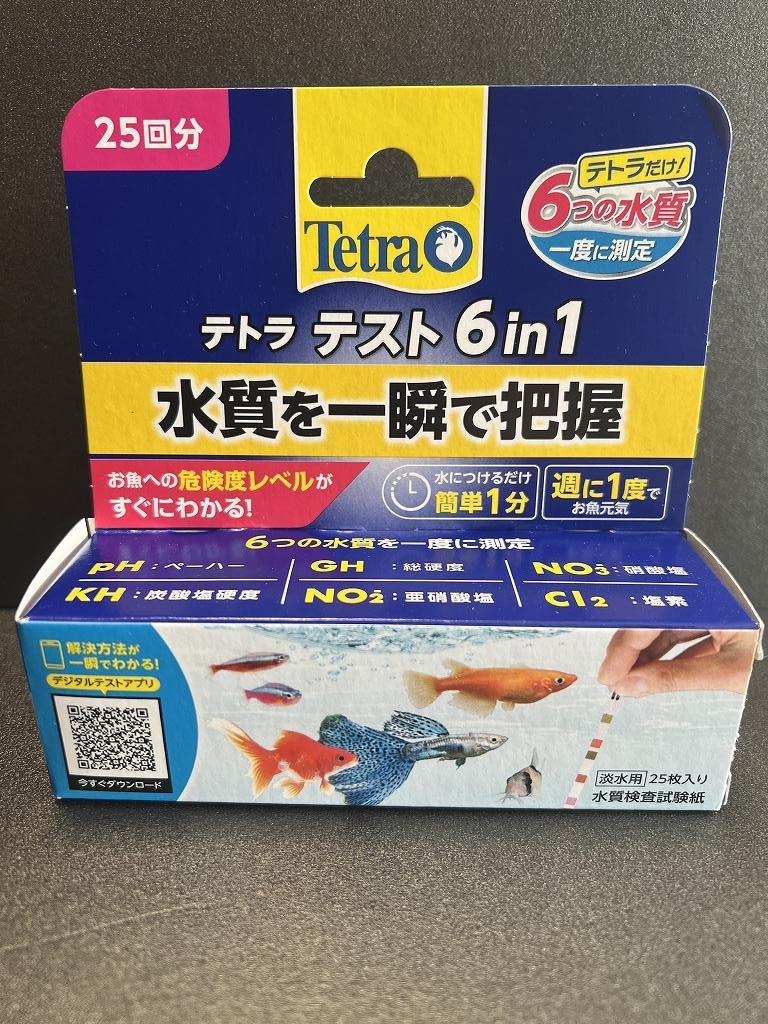 f:id:genryu0278:20220211205306j:plain