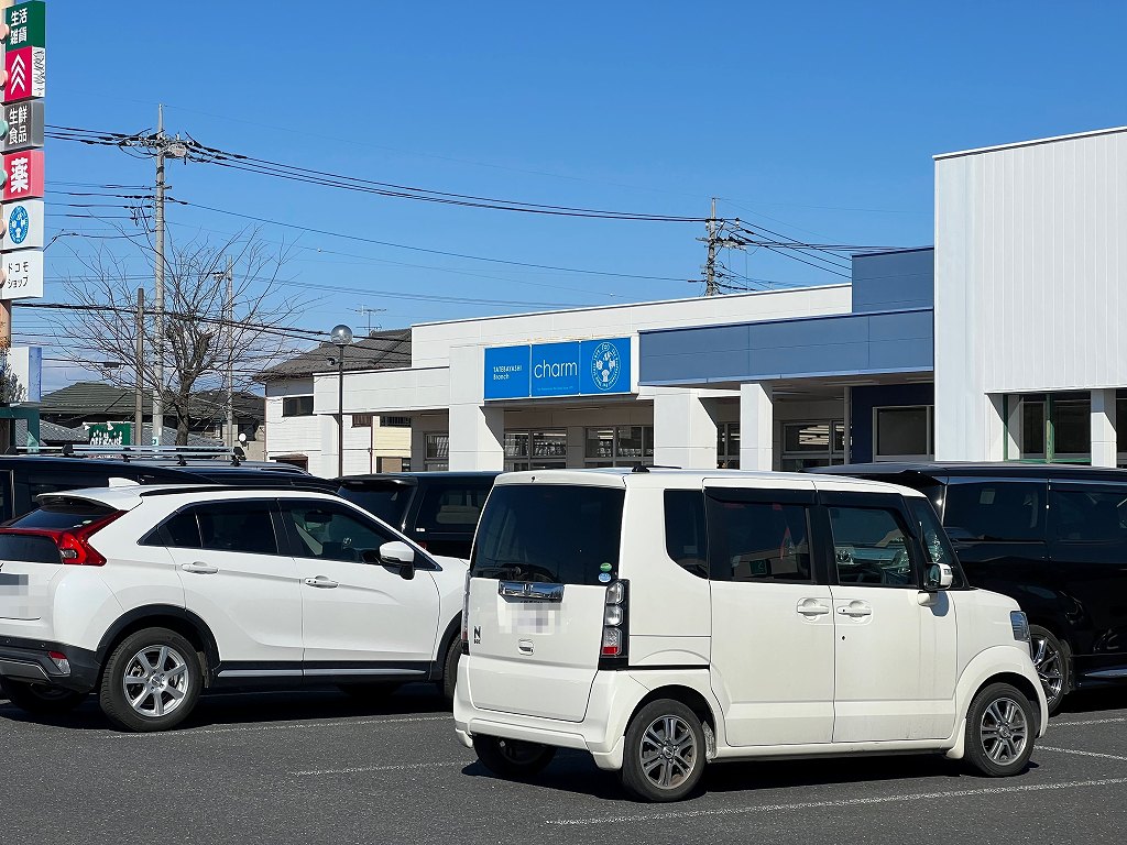 f:id:genryu0278:20220321163432j:plain
