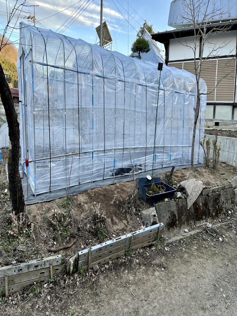 f:id:genryu0278:20220403210001j:plain