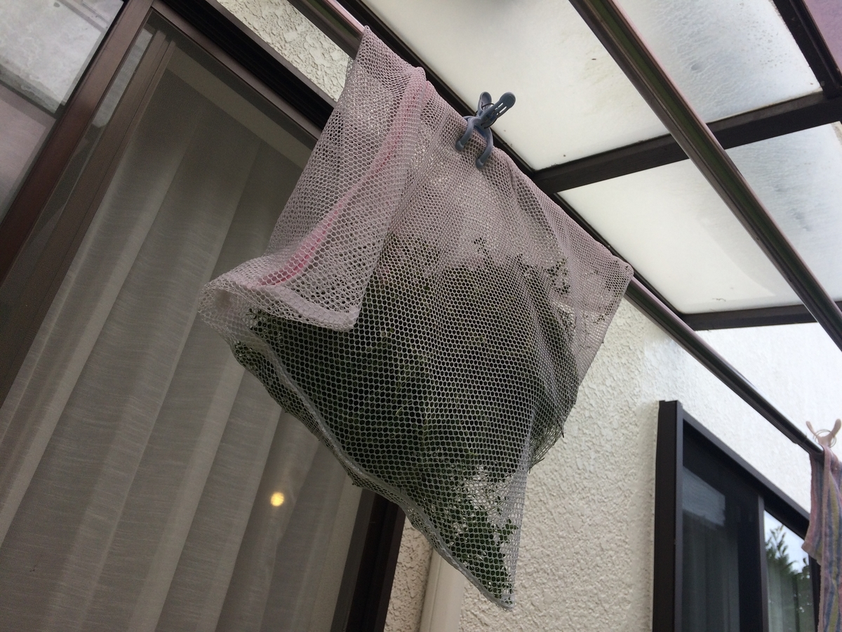 タイムの収穫 乾燥タイムにしましょう 週末は晴天希望