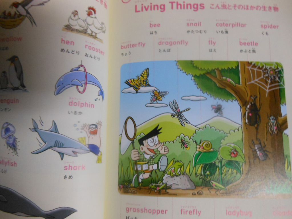 f:id:genshiohajiki:20170109222235j:plain