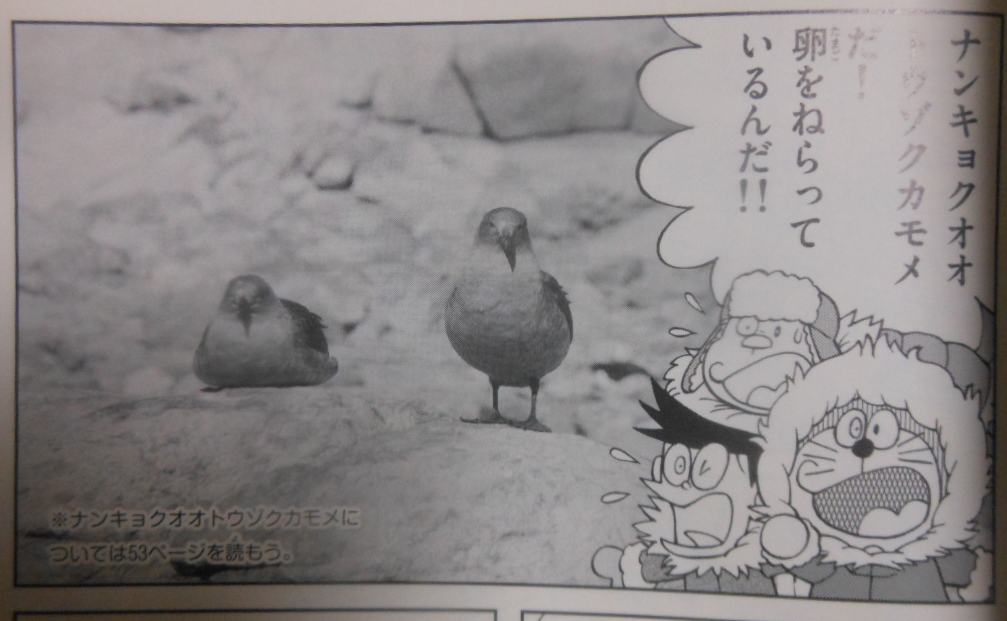 f:id:genshiohajiki:20170127202151p:plain f:id:genshiohajiki:20170127202151p:plain