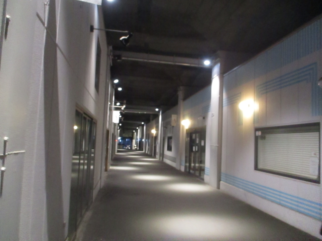 f:id:genshiohajiki:20190127202909j:plain