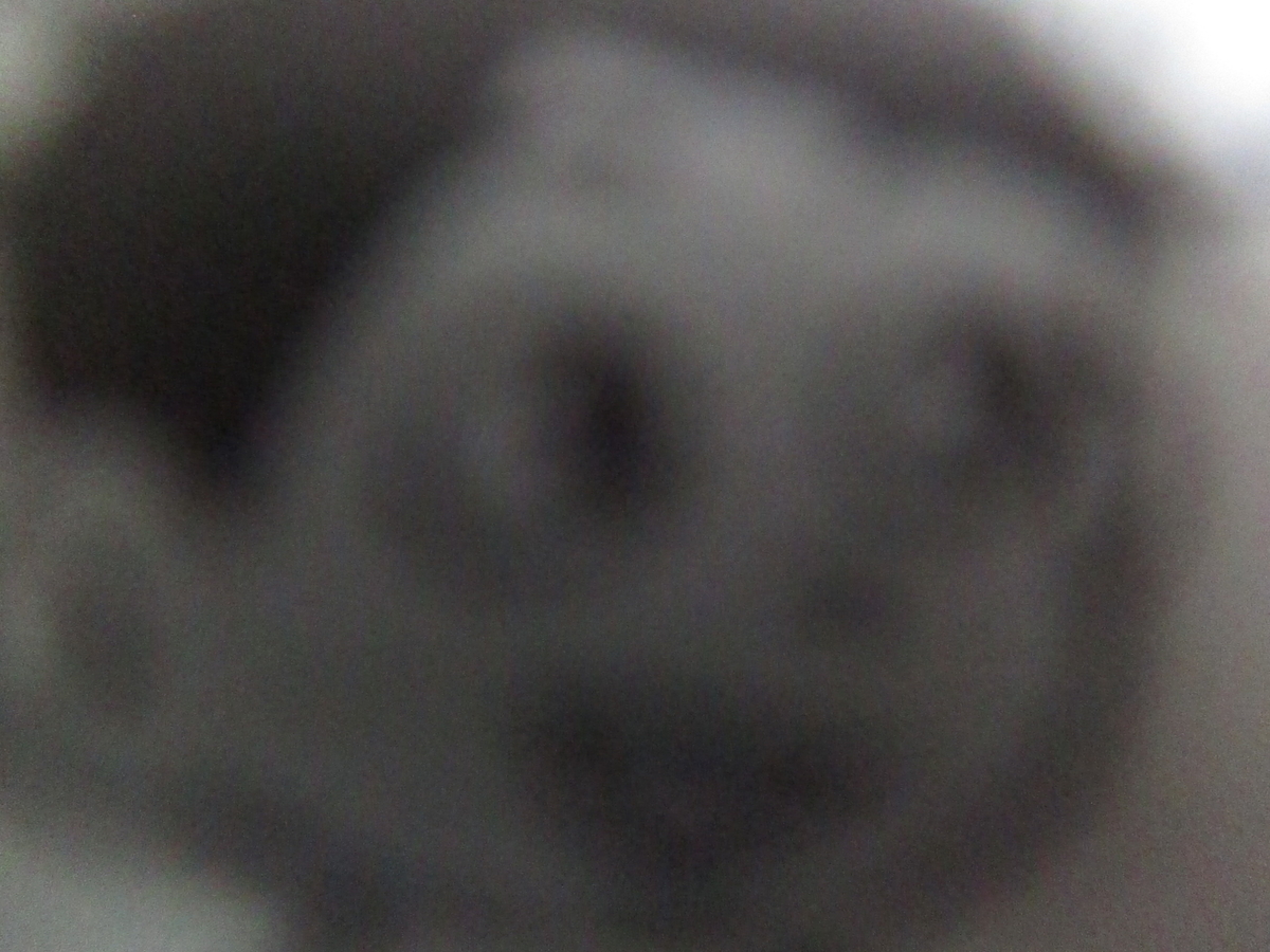 f:id:genshiohajiki:20201205190638j:plain