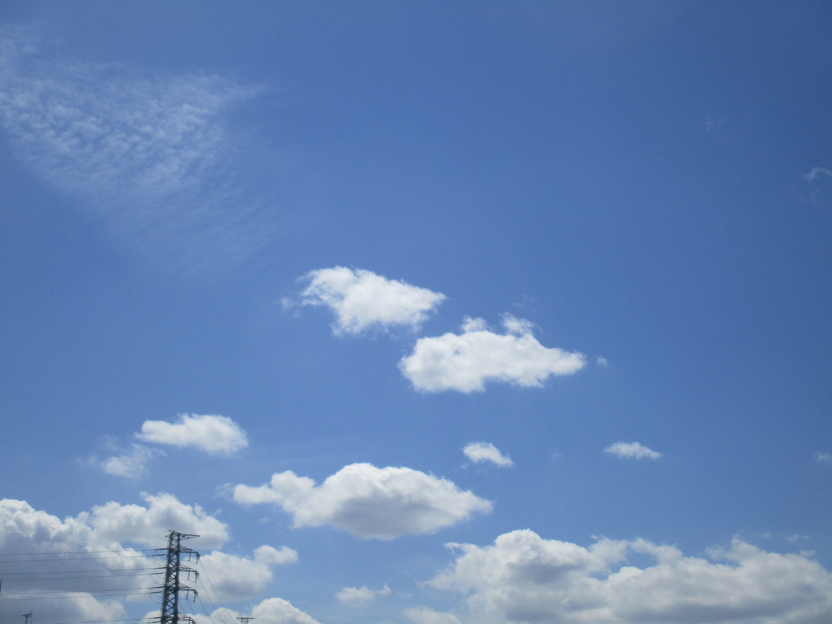 f:id:genta-san:20200423115556j:plain f:id:genta-san:20200423115556j:plain