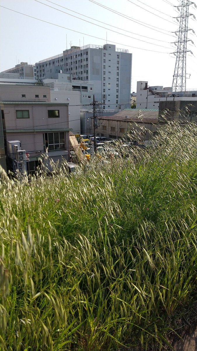 f:id:genta-san:20200429165021j:plain f:id:genta-san:20200429165021j:plain