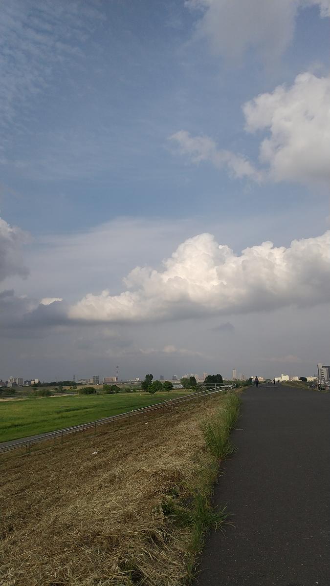 f:id:genta-san:20200512210514j:plain f:id:genta-san:20200512210514j:plain