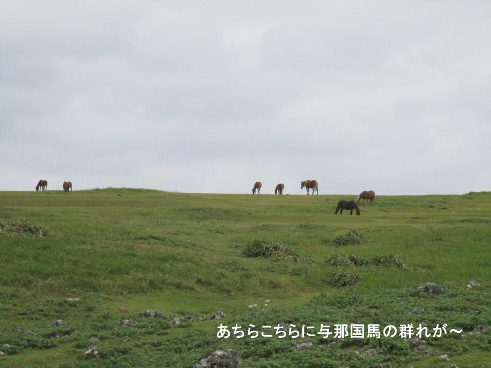 f:id:genta-san:20200524020431j:plain f:id:genta-san:20200524020431j:plain