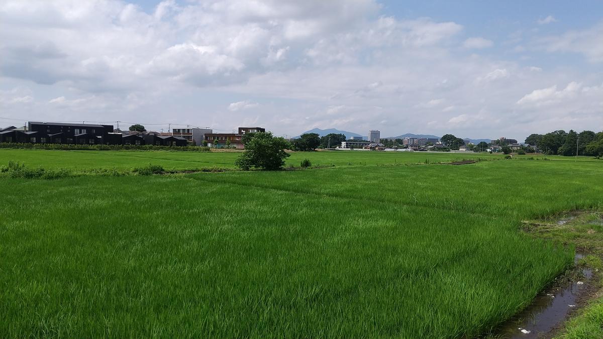 f:id:genta-san:20200629141153j:plain f:id:genta-san:20200629141153j:plain