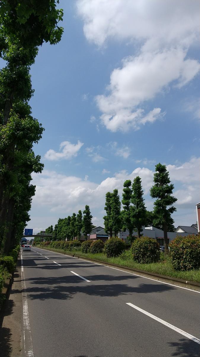 f:id:genta-san:20200629142245j:plain f:id:genta-san:20200629142245j:plain
