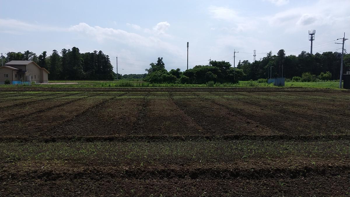 f:id:genta-san:20200629142310j:plain f:id:genta-san:20200629142310j:plain