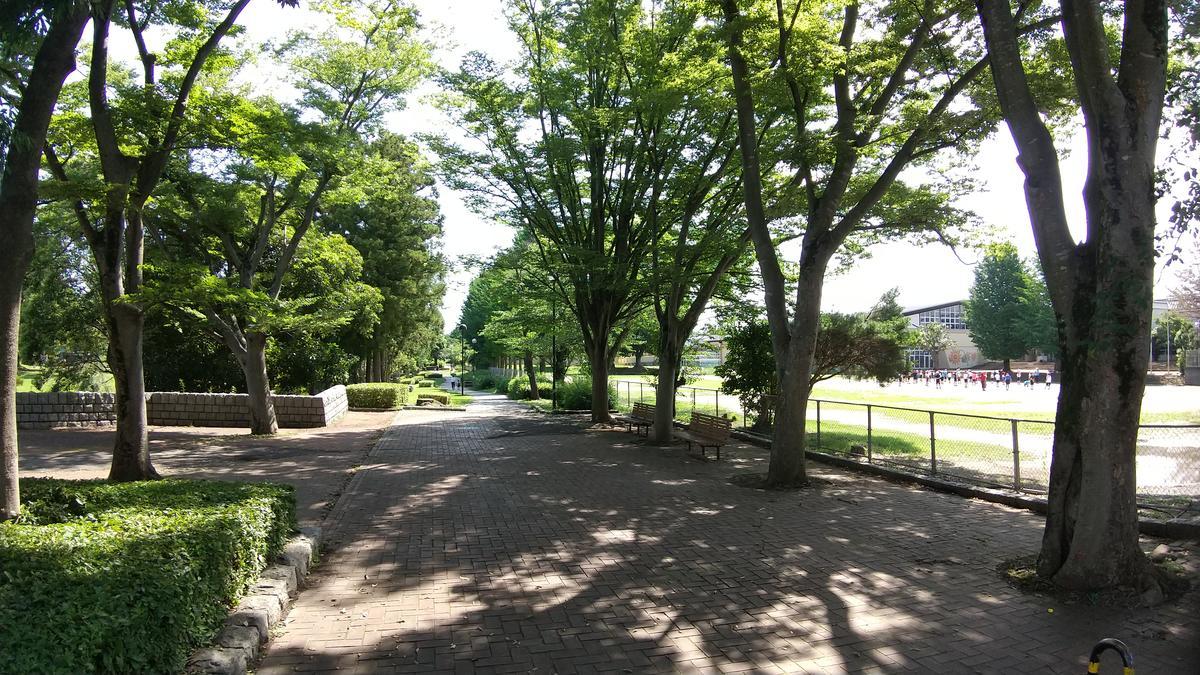 f:id:genta-san:20200629142524j:plain f:id:genta-san:20200629142524j:plain