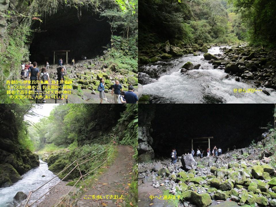 f:id:genta-san:20200719185147j:plain f:id:genta-san:20200719185147j:plain