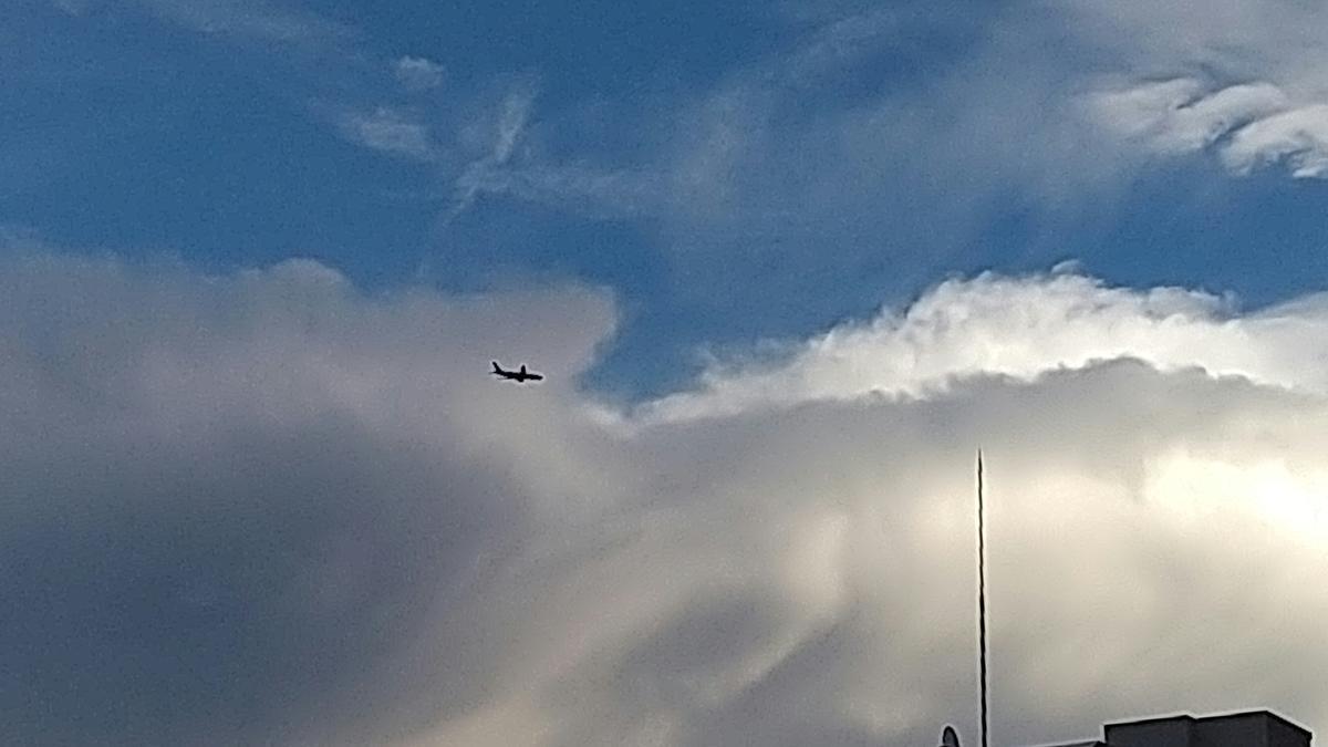 f:id:genta-san:20200726181105j:plain