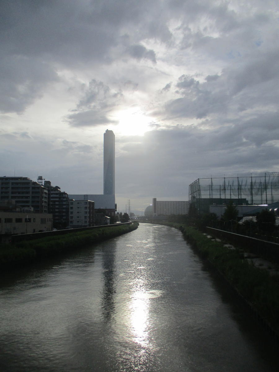 f:id:genta-san:20200726204804j:plain