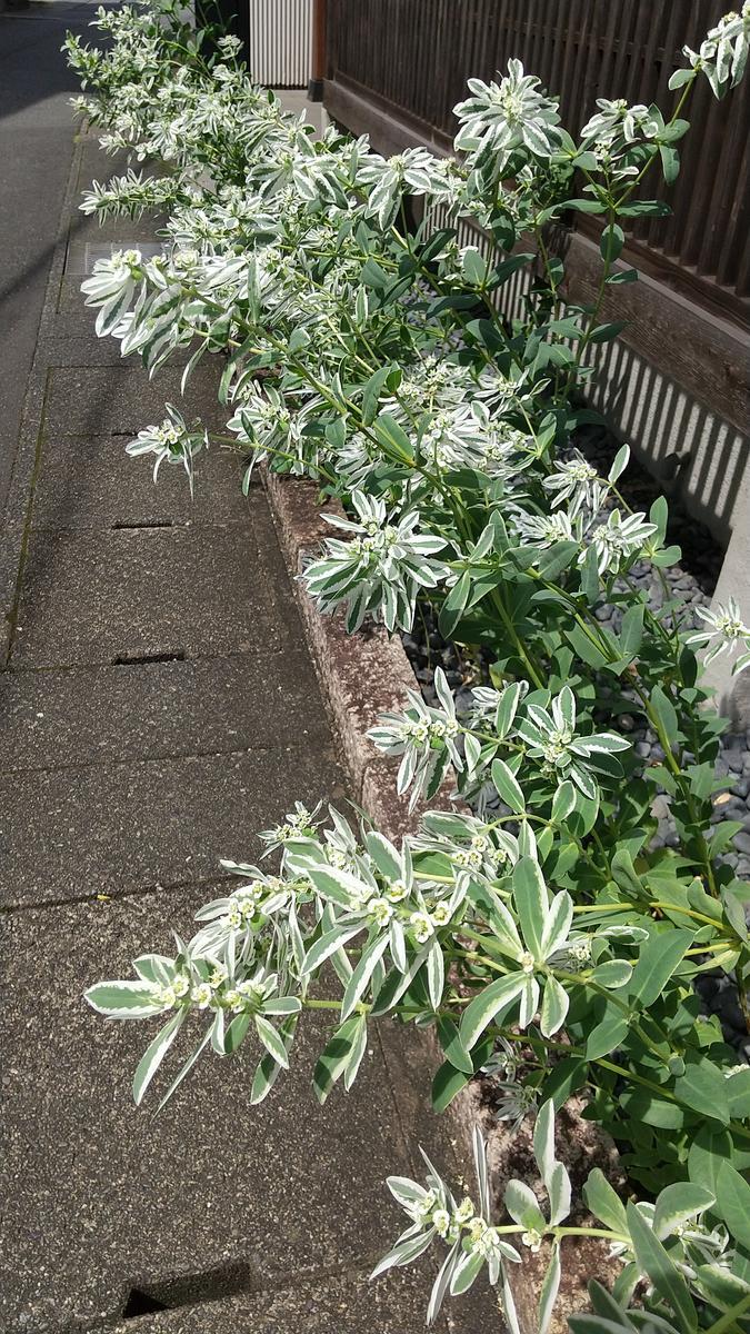 f:id:genta-san:20200815140255j:plain