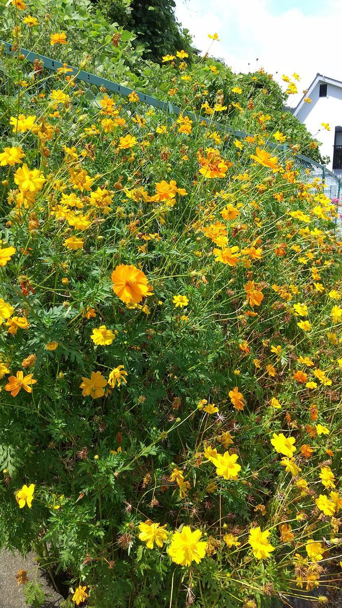 f:id:genta-san:20200815140448j:plain