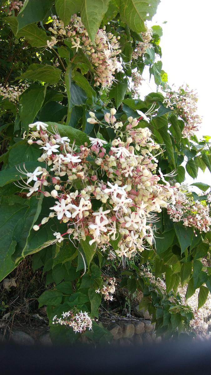 f:id:genta-san:20200815140705j:plain