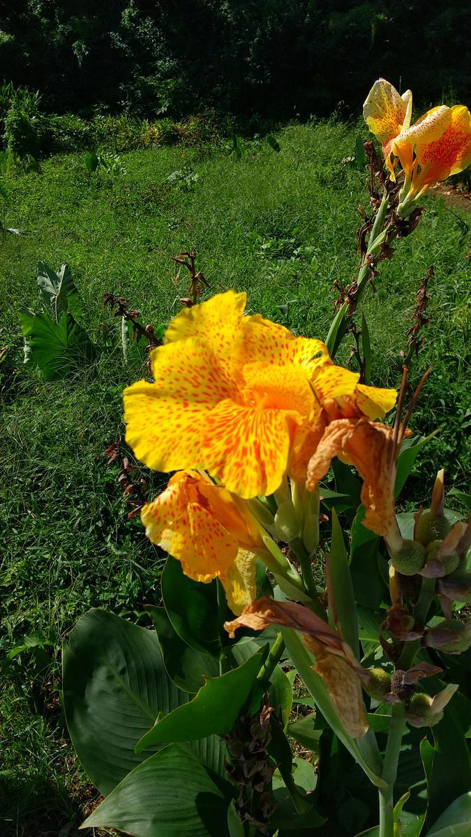 f:id:genta-san:20200815140923j:plain