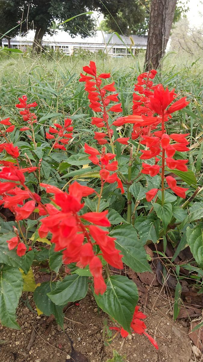 f:id:genta-san:20200929182813j:plain