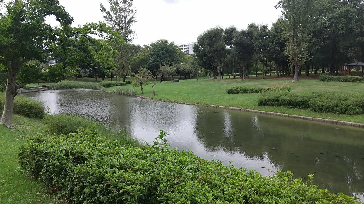 f:id:genta-san:20200929183802j:plain