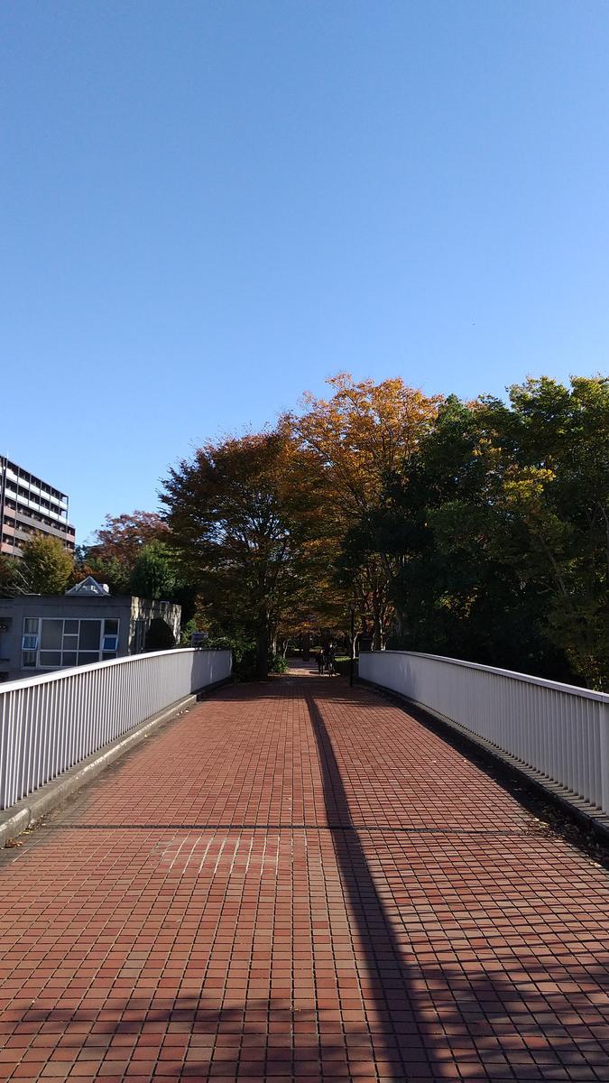 f:id:genta-san:20201109174228j:plain