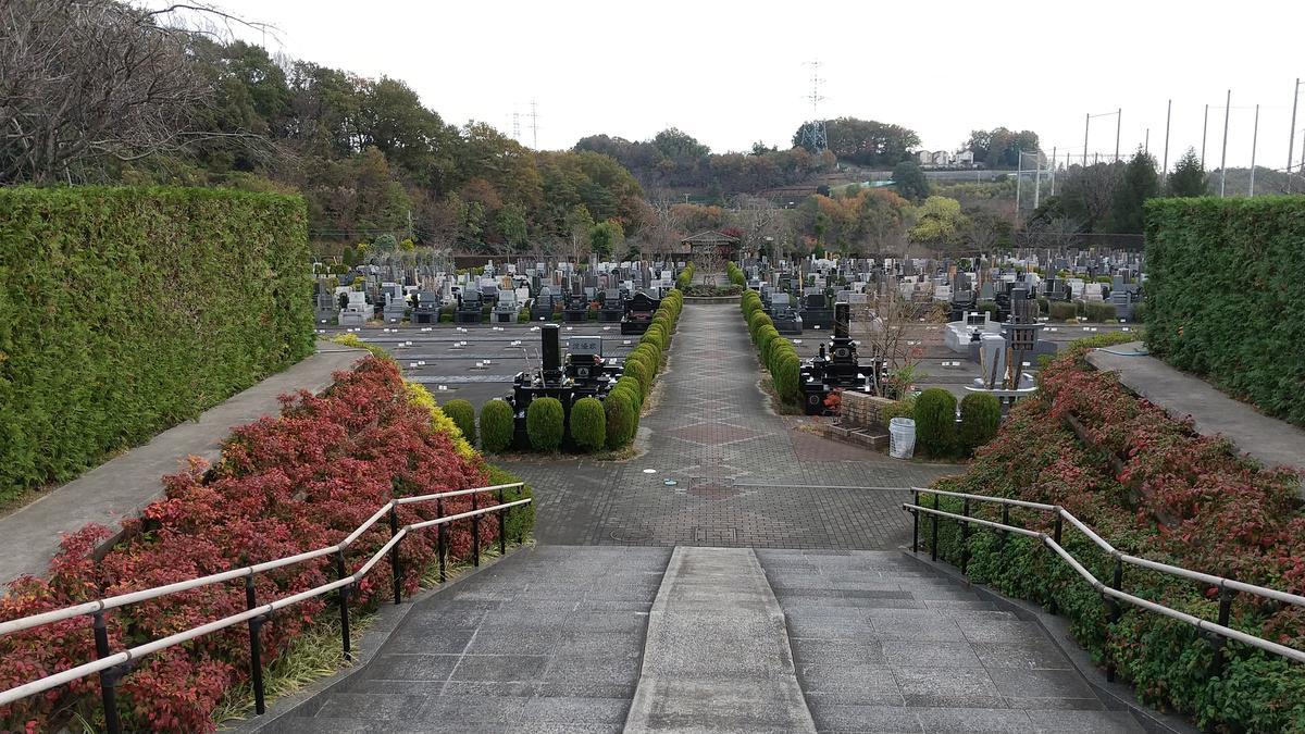 f:id:genta-san:20201127131847j:plain