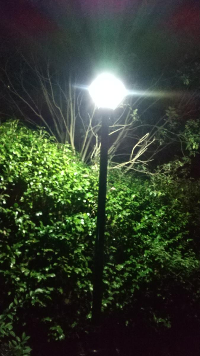 f:id:genta-san:20201222180853j:plain