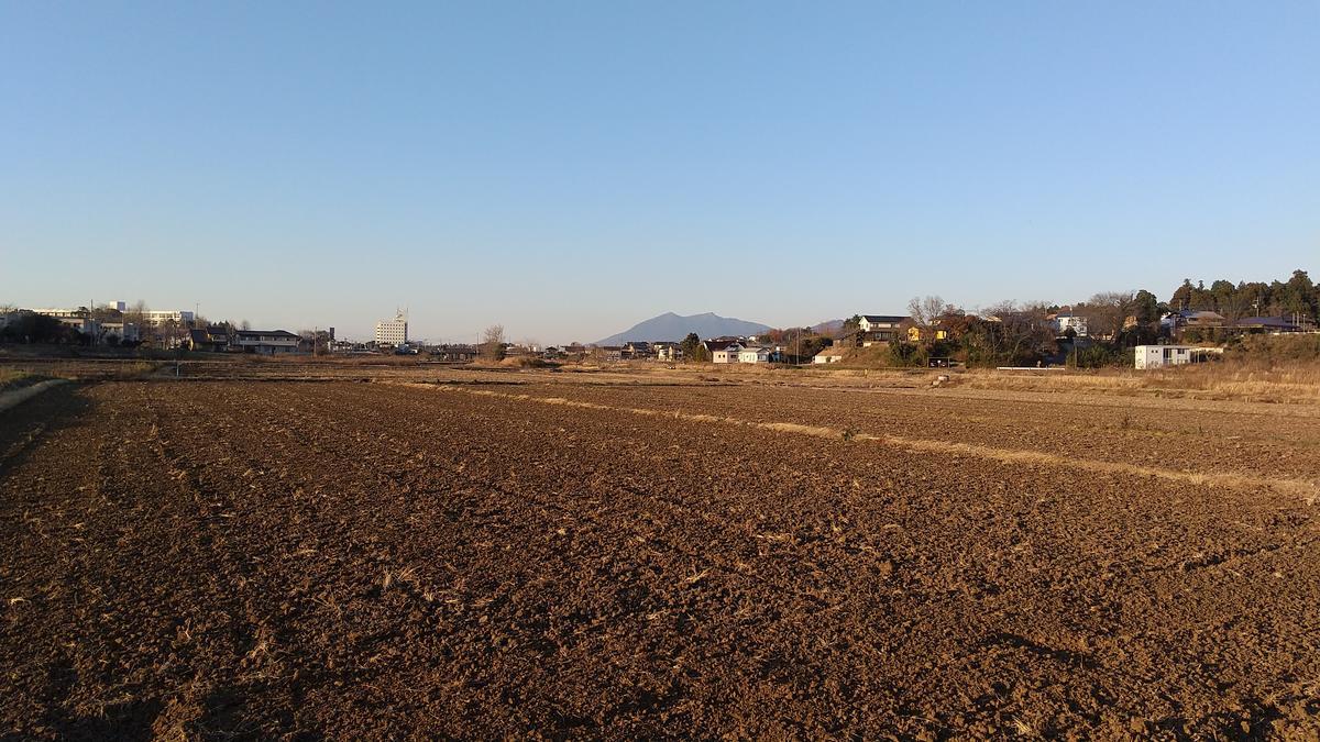 f:id:genta-san:20201222180935j:plain