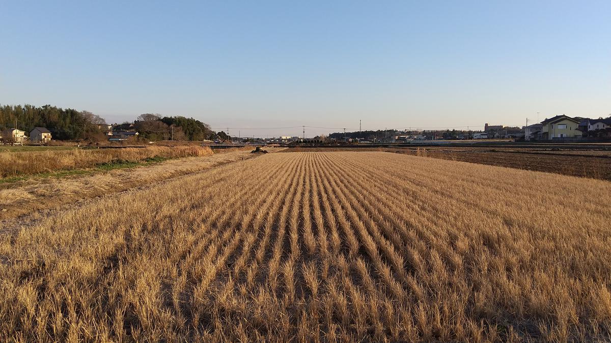 f:id:genta-san:20201222180954j:plain