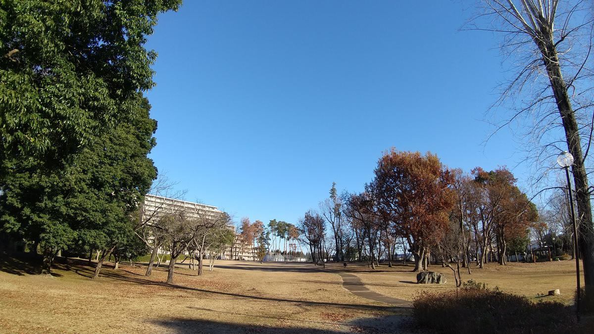f:id:genta-san:20201222181228j:plain