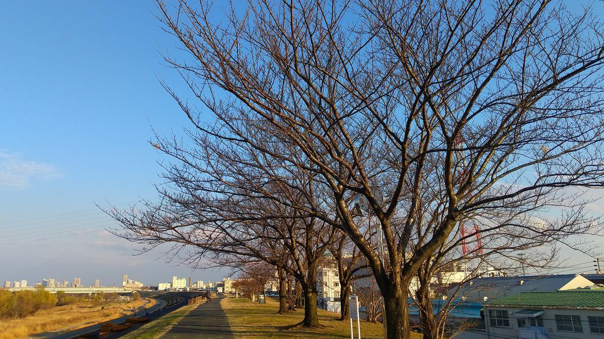 f:id:genta-san:20201227175410j:plain