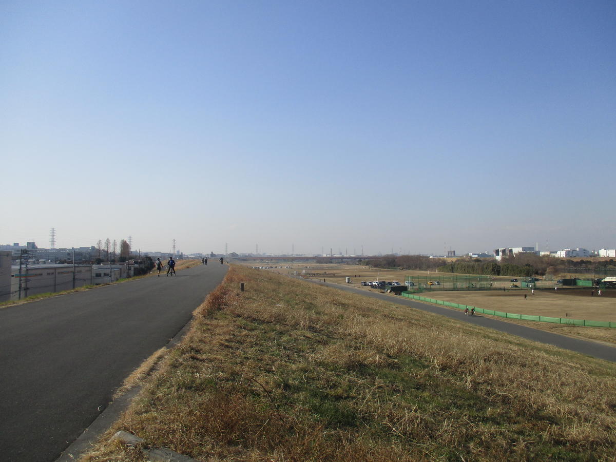 今日は暖かったですね 荒川沿いを散歩した一日でした げんさんのほげほげ日記