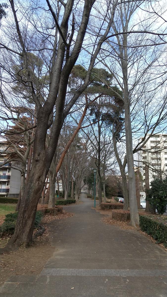 f:id:genta-san:20210118123347j:plain